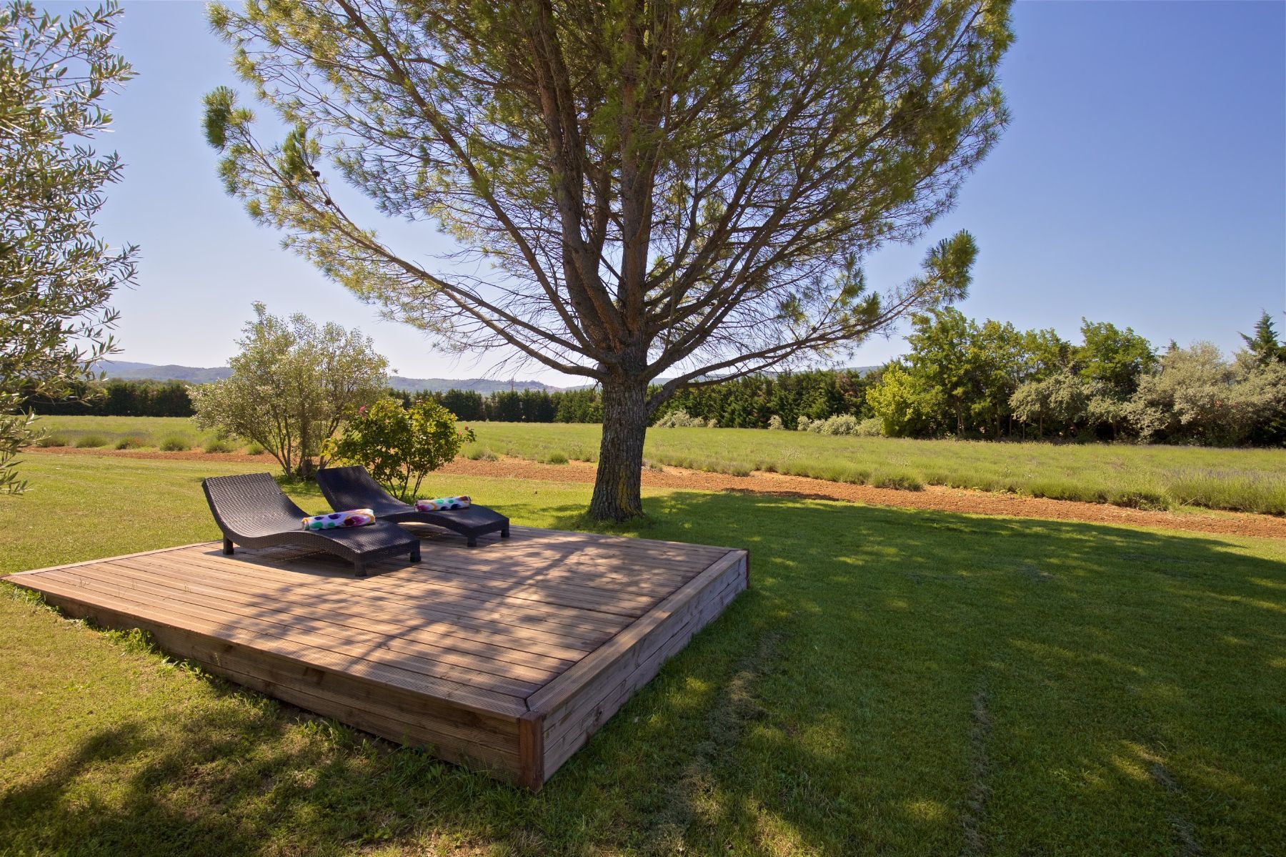 Le Mas des Lavandins villa photo.